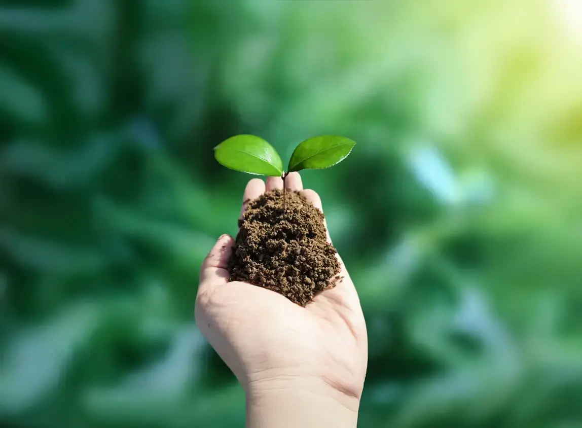 Re Soil Project 廃棄物を資源に